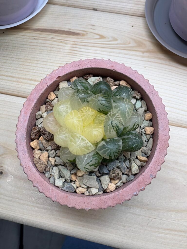 my new (and first of its kind) baby