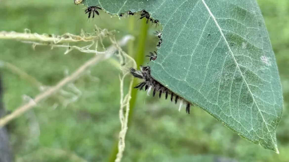 Yahoo lifestyle home