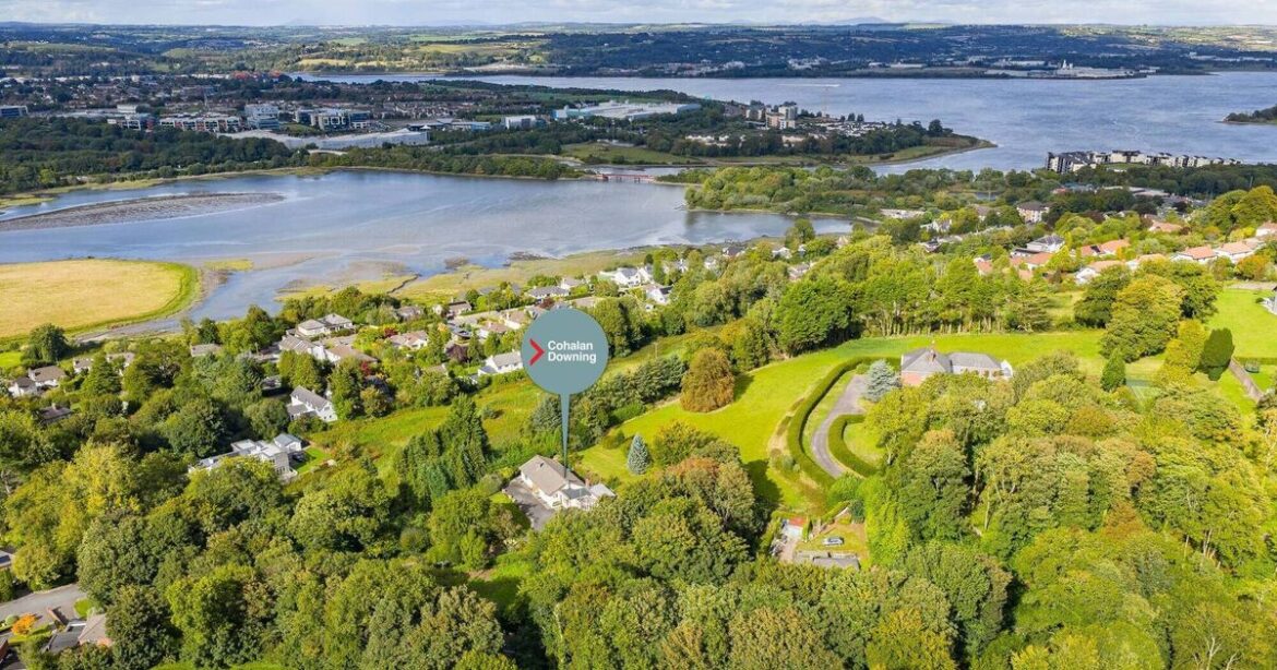 Seeing the woods from the trees at Rochetown’s €725k Treetops Seeing the woods from the trees at Rochetown's €725k Treetops