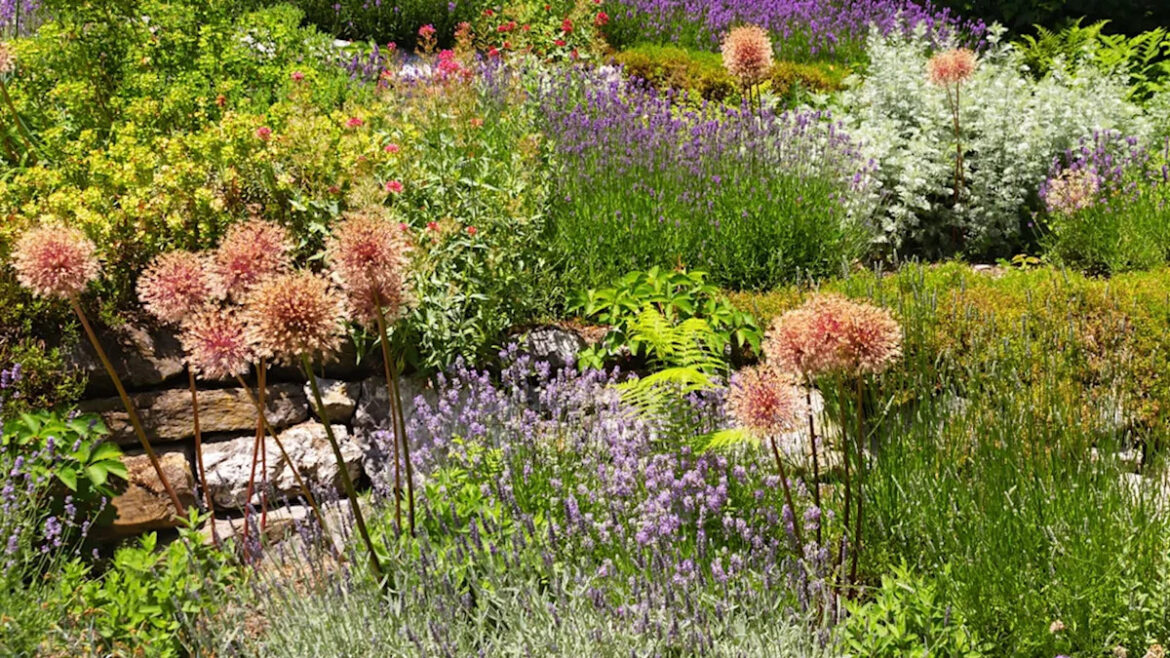 Yahoo lifestyle home