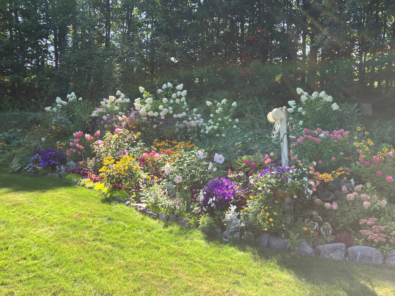 Best Flower Garden