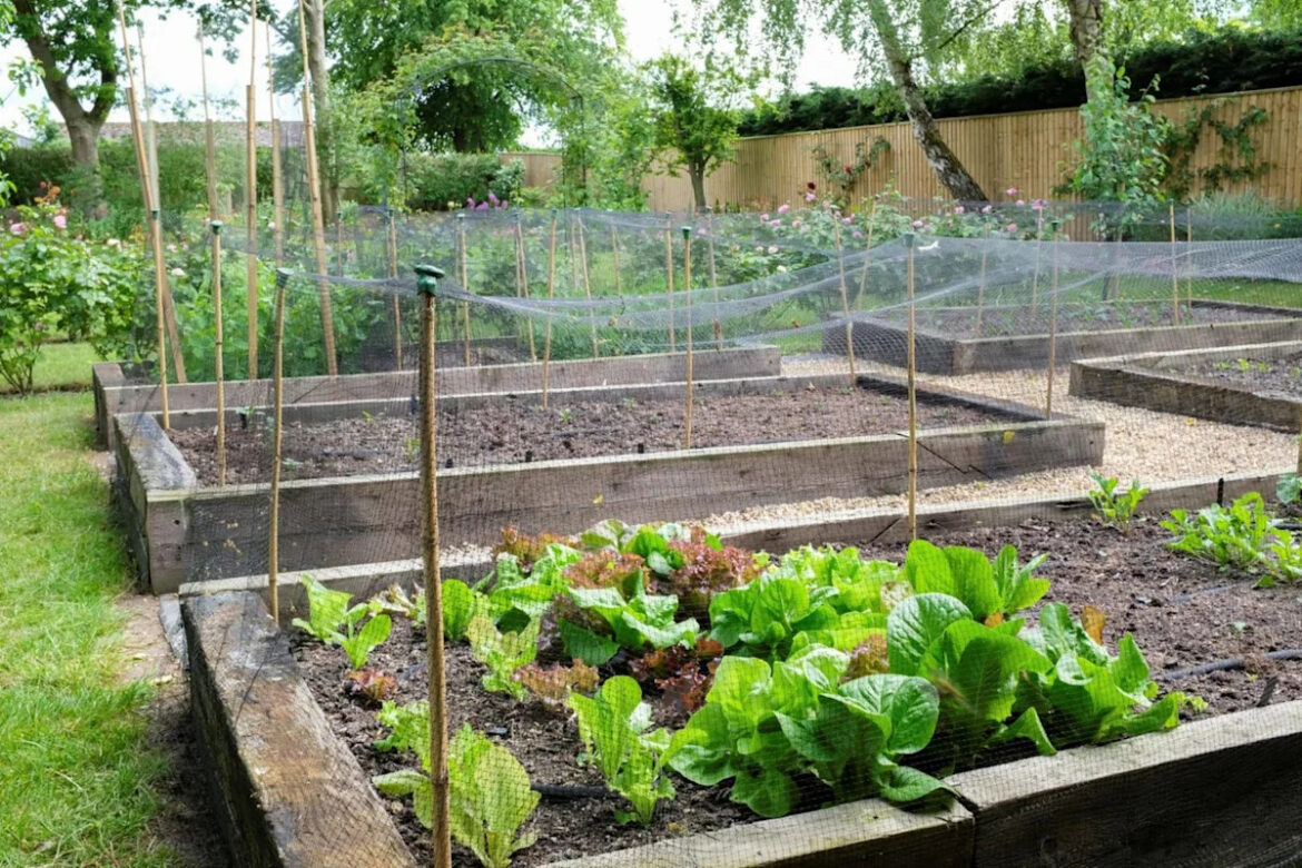 ‘I will never use this stuff again’ Yahoo lifestyle home