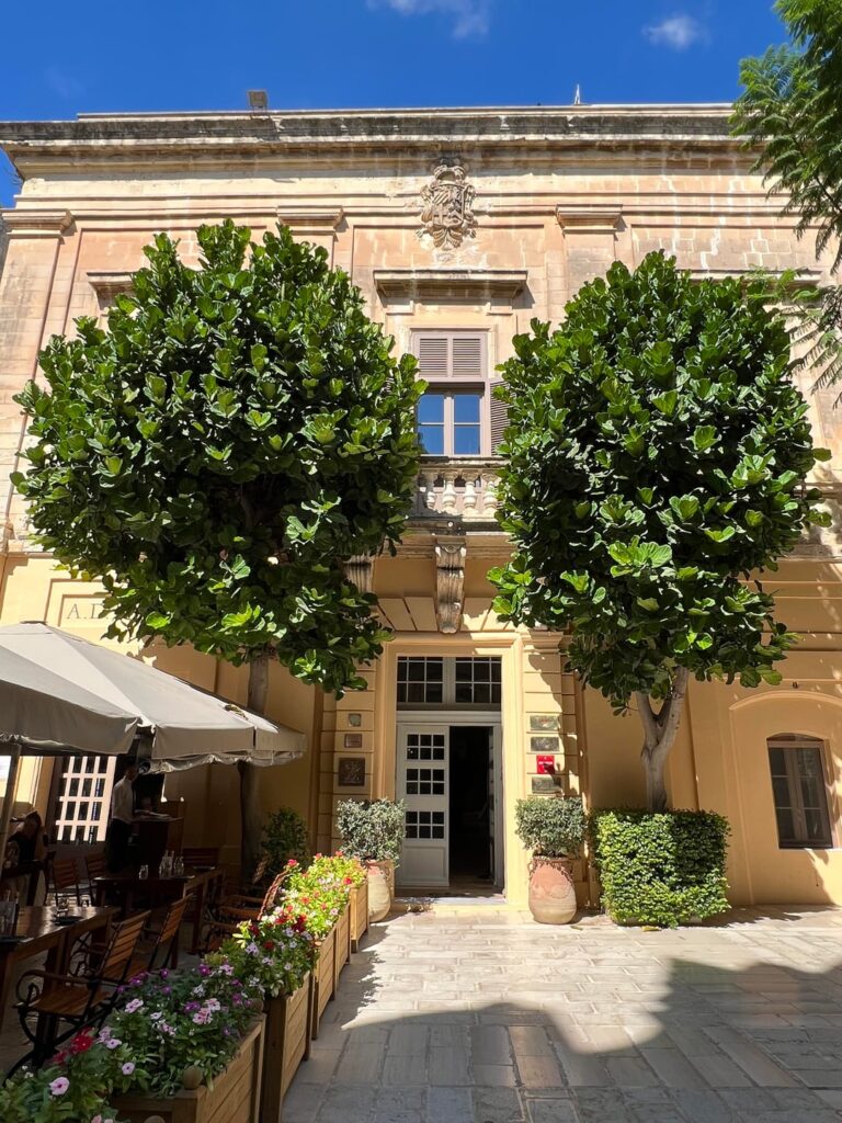 Two FLF trees spotted in Malta 😍