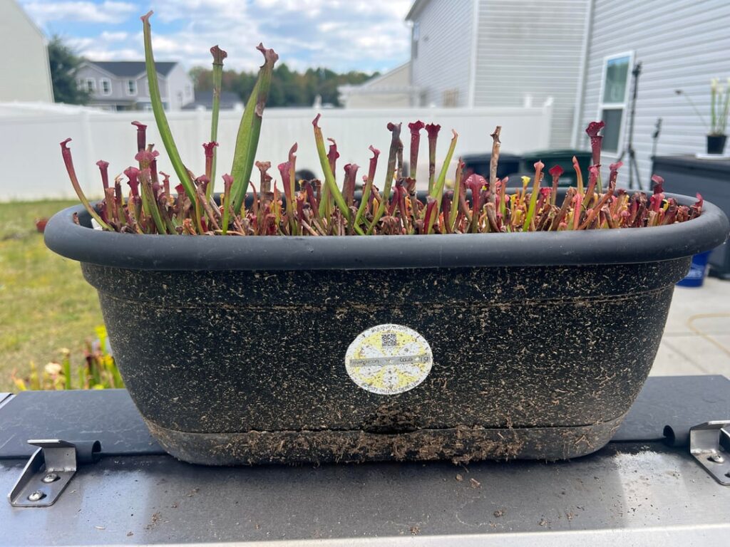 No More Self Watering Pot Hate!! No More Self Watering Pot Hate!!