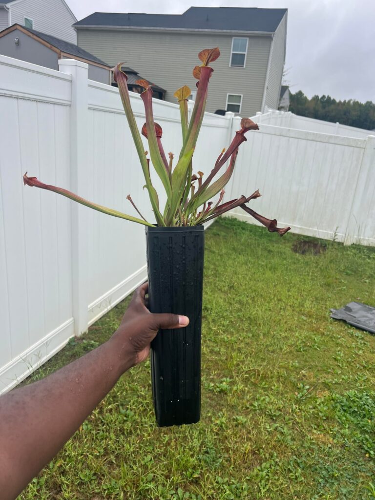Experiment using Tree Pots. (Info Is In The Caption)