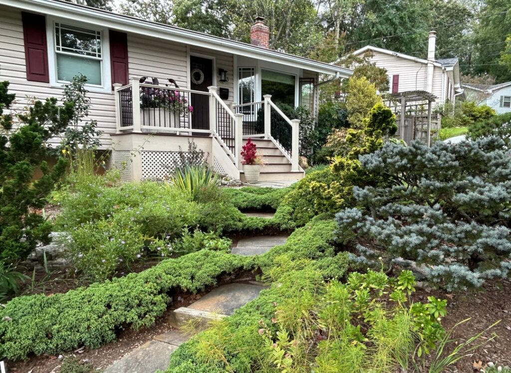 Lawnless front yard in Maryland by 2 hort professionals