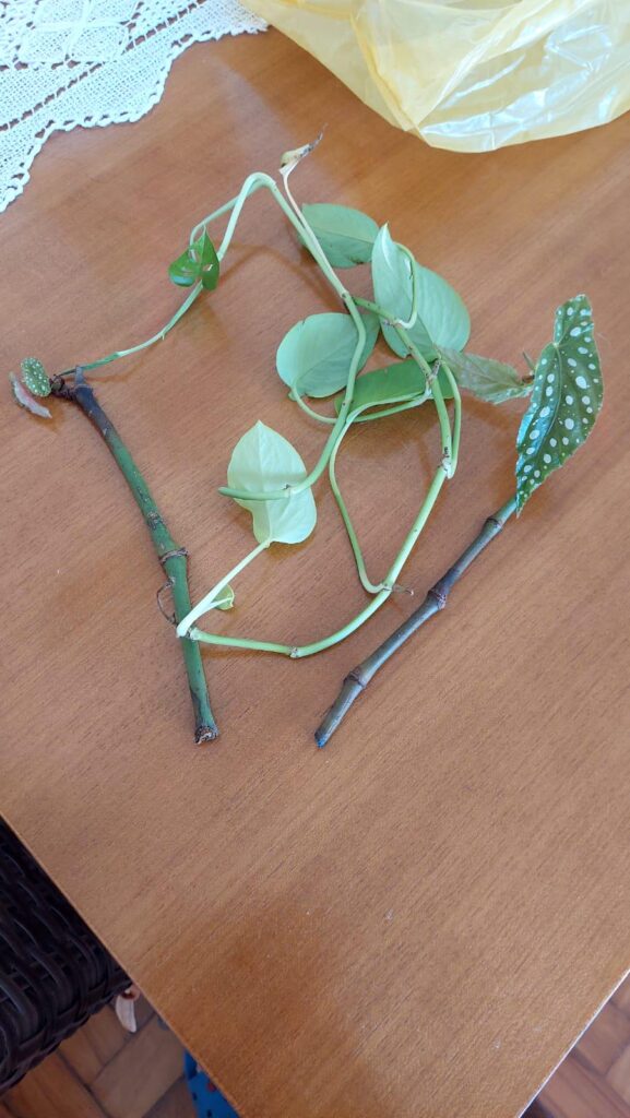 new prop cuttings!!