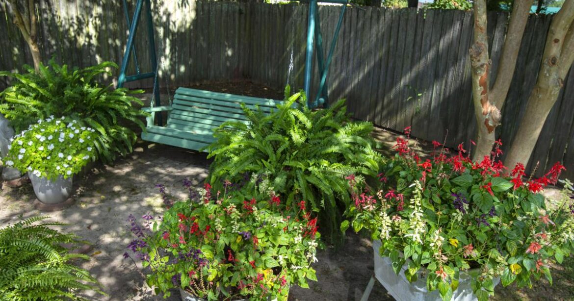 Plants may get 'second wind' before fall comes in November | Home/Garden