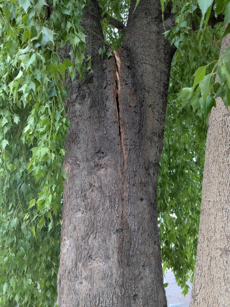 How dangerous is this for my house? How dangerous is this for my house?