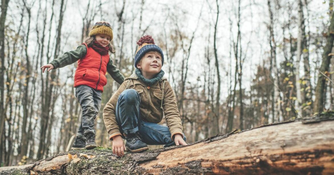 Master Gardener: Watch out for invasive species in your firewood | Lifestyles
