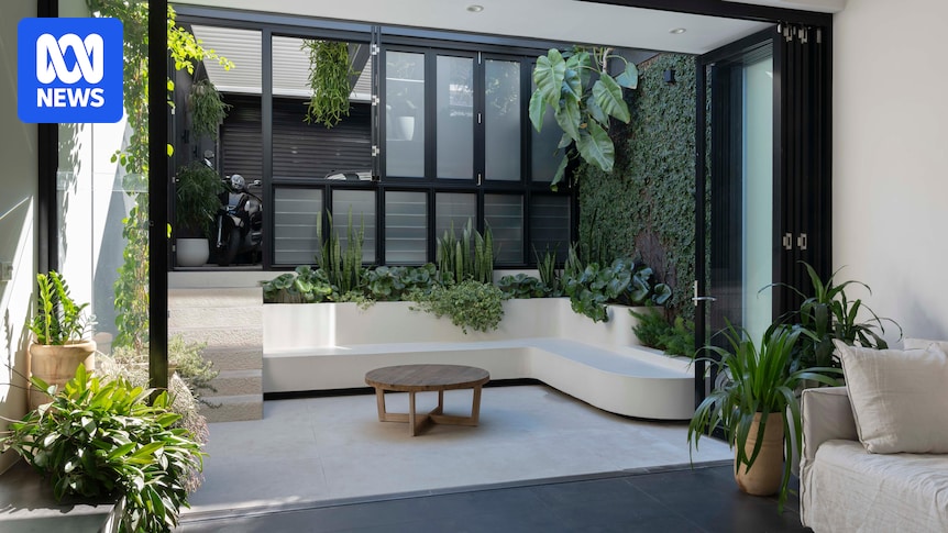 How to build a flourishing garden in a courtyard or smaller space How to build a flourishing garden in a courtyard or smaller space