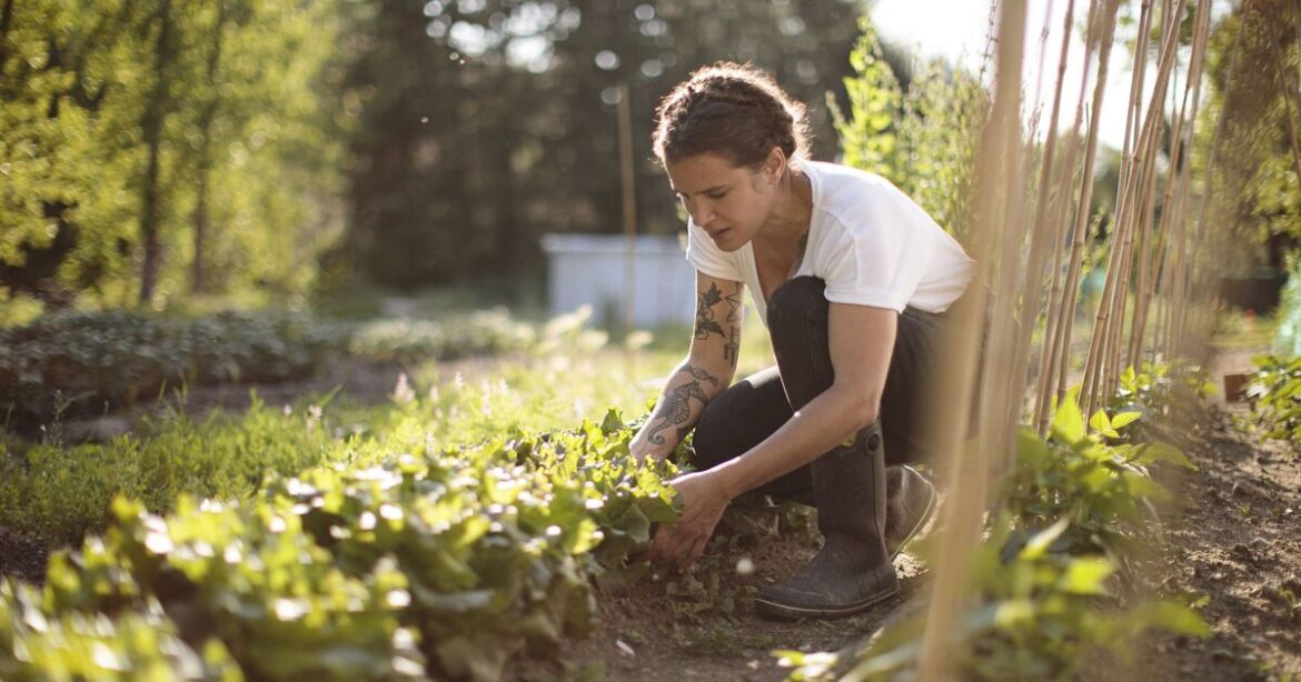 Gardeners urged to make the most of September warmth by doing 1 thing Gardeners urged to make the most of September warmth by doing 1 thing