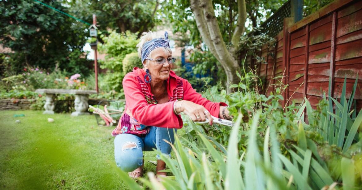 Gardeners must do one thing in September or risk causing major damage Gardeners must do one thing in September or risk causing major damage