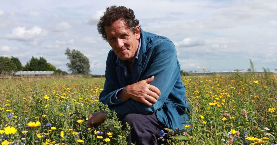 Eliminate black spots from roses with Monty Don's simple trick