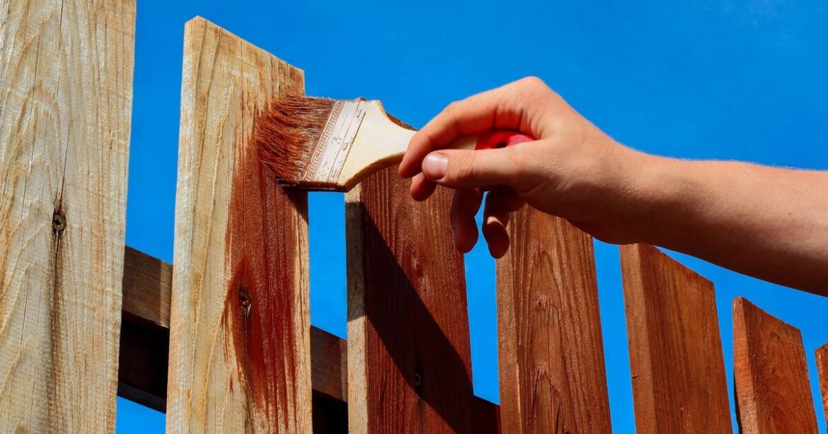 7 experts all give same answer on painting your side of neighbour’s fence 7 experts all give same answer on painting your side of neighbour's fence