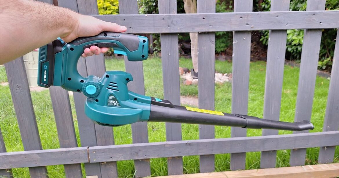 ‘My leaf blower is great and there’s a way to get it for £34’ 'My leaf blower is great and there's a way to get it for £34'