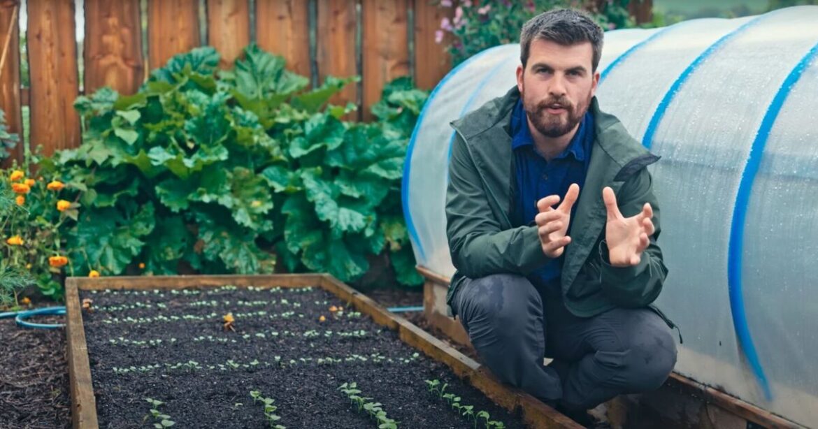 Gardeners urged to start sowing 14 plants in next three weeks Gardeners urged to start sowing 14 plants in next three weeks