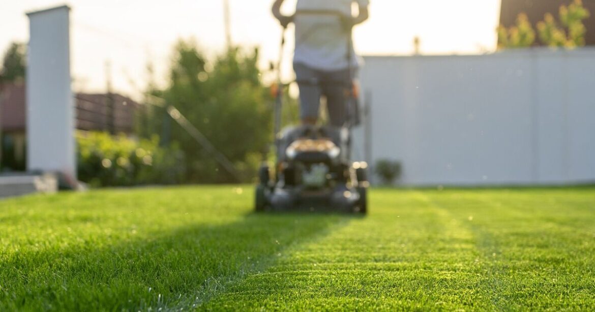 Gardeners urged to complete key job by October