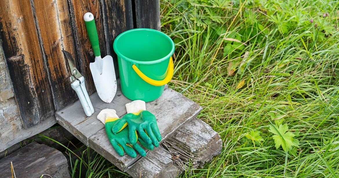 Gardeners urged to do 1 job this weekend – 3 at-risk areas in England Gardeners urged to do 1 job this weekend - 3 at-risk areas in England