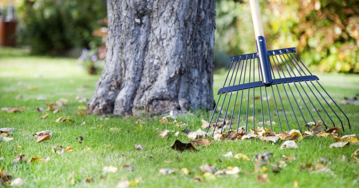 Gardening expert reveals easy trick to protect your lawn in the colder months Gardening expert reveals easy trick to protect your lawn in the colder months