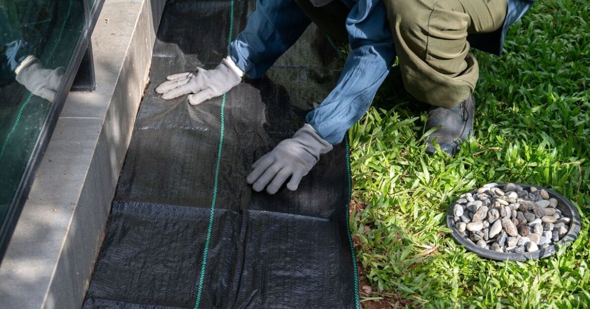 Gardener issues advice over common landscaping blunder