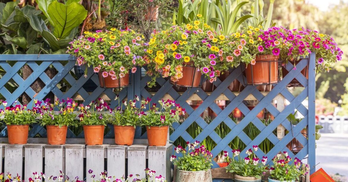 Gardeners urged to stop leaving pots and containers on the ground Gardeners urged to stop leaving pots and containers on the ground