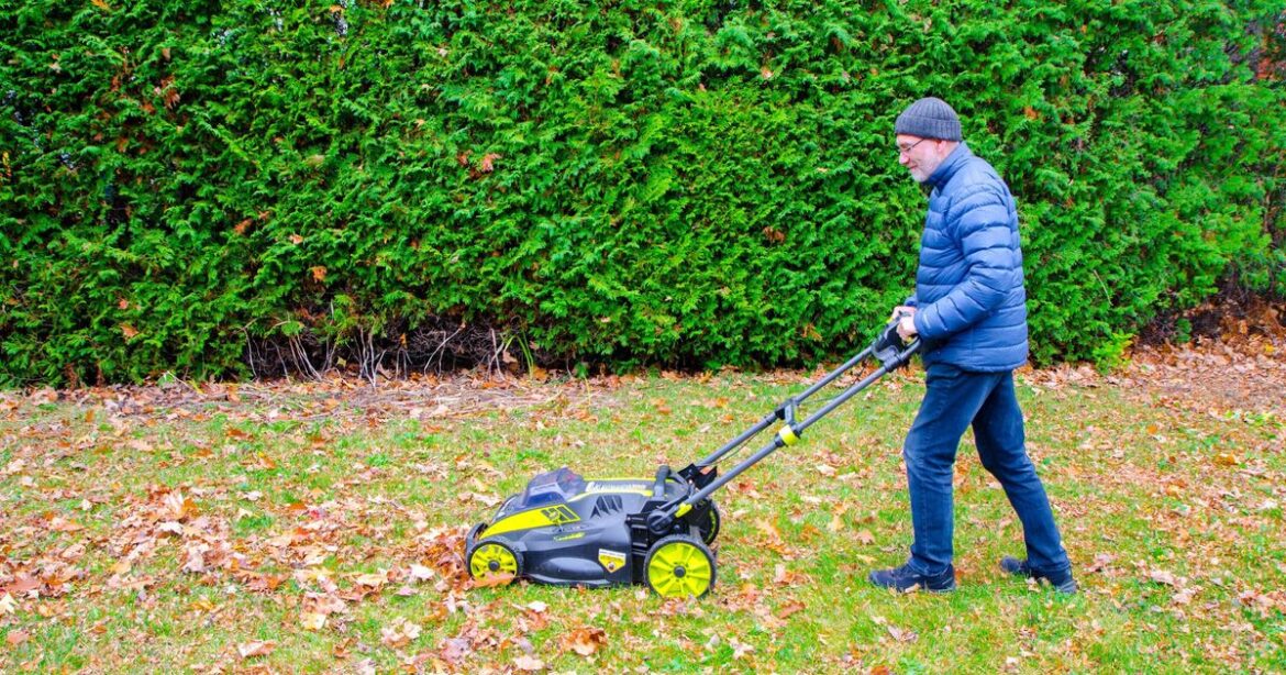 Gardener shares exact time you should give your lawn ‘the final cut’ Gardener shares exact time you should give your lawn 'the final cut'