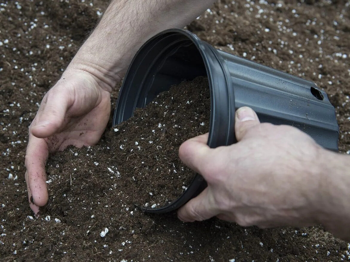 Can potting soil be reused? Can potting soil be reused?