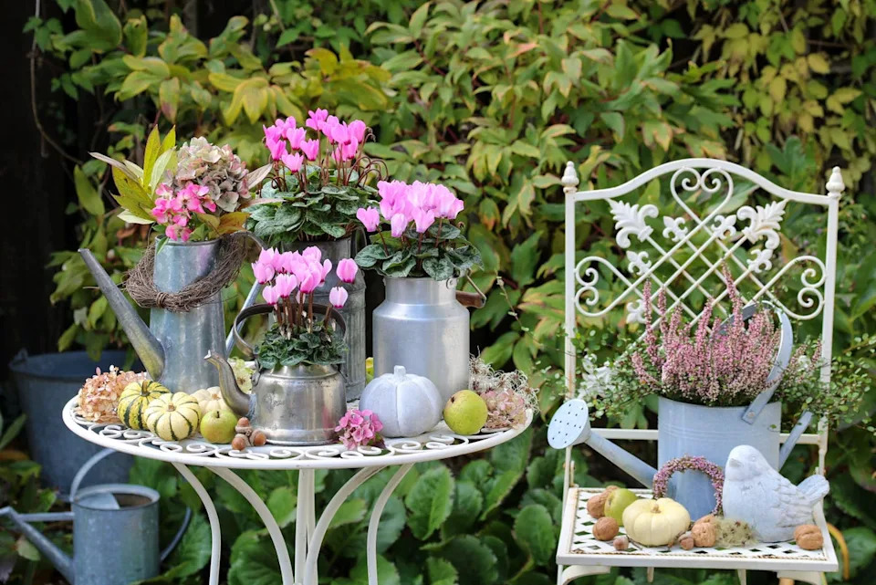 October is the time to refresh your summer plants in any containers (PA/ALAMY)
