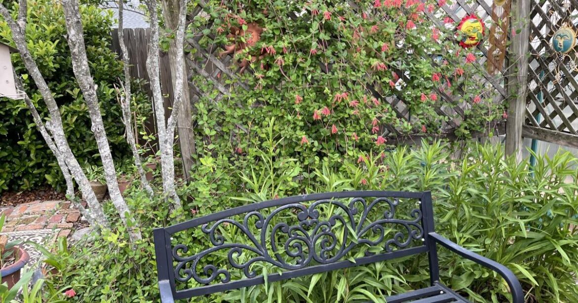 Timing for planting, pruning and fertilizing is crucial | Home/Garden