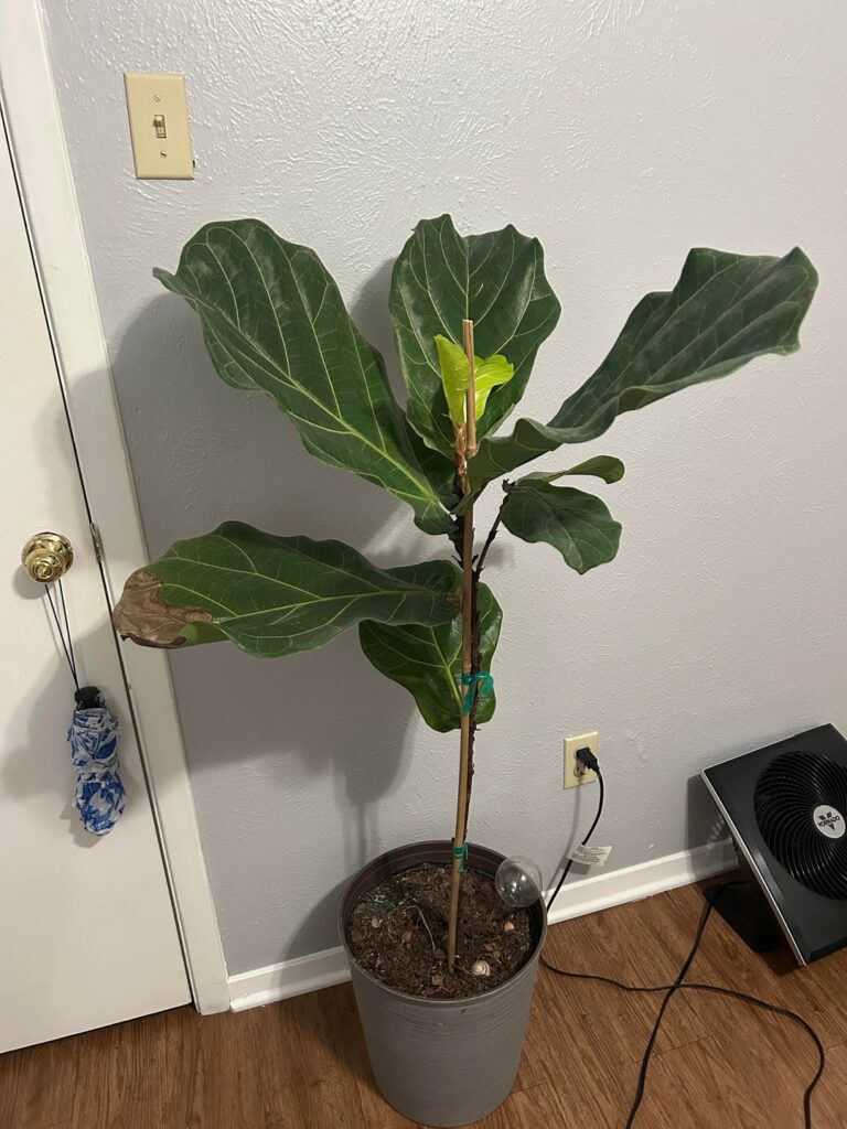 Any suggestions welcome Any suggestions welcome
