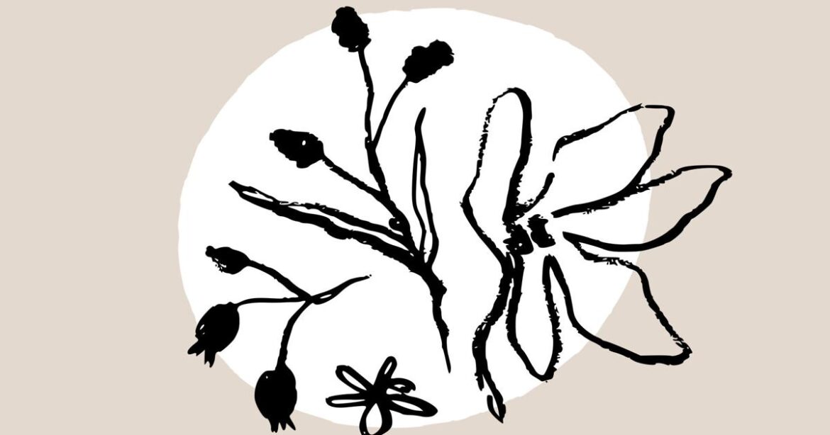 This is the End – Midcoast Villager This is the End - Midcoast Villager