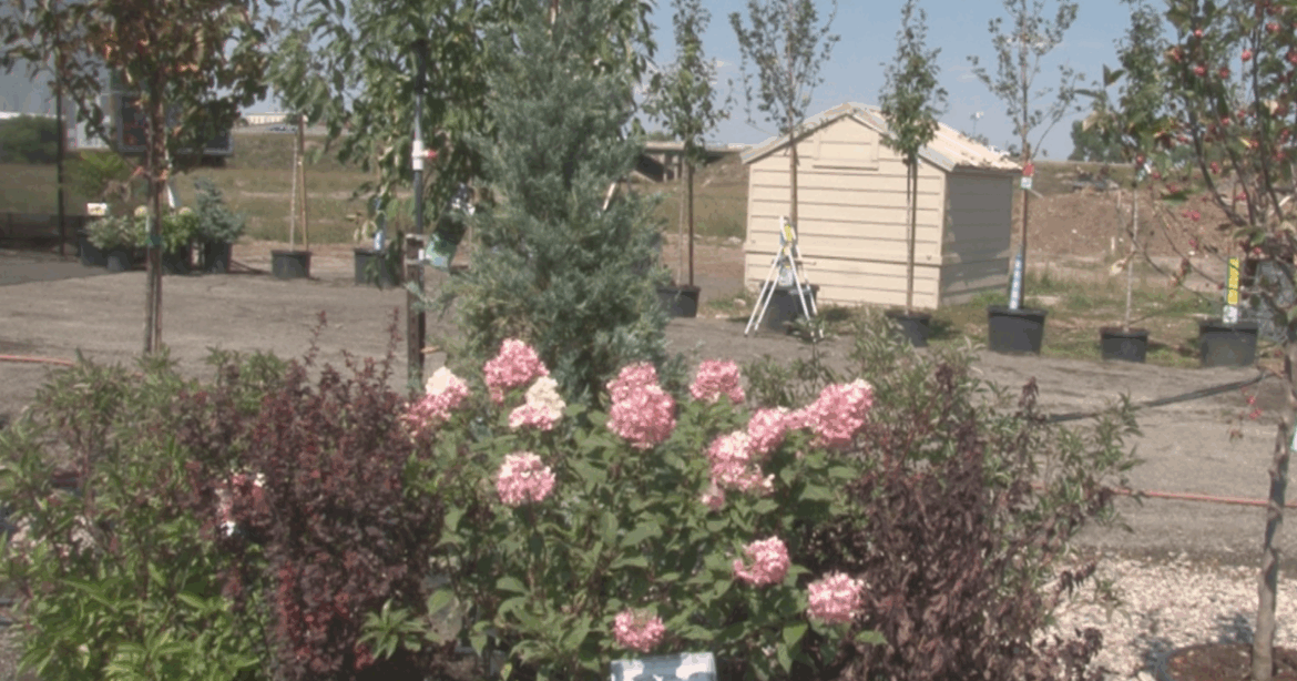 Fall Gardening | News | wyomingnewsnow.tv Fall Gardening | News | wyomingnewsnow.tv