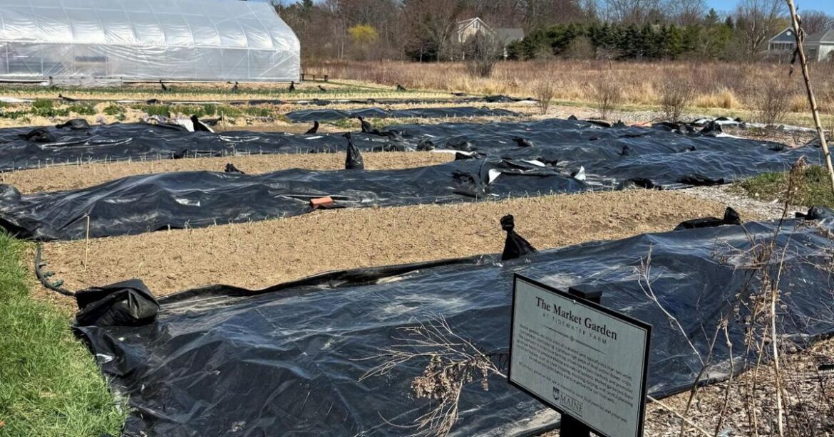 Gardening Briefs - Sept 11, 2025 | The World