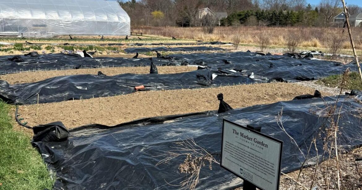 What you can do now to prepare garden beds for spring | Community-news