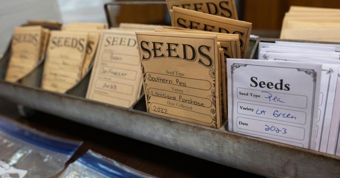 4 tips for saving seeds for next year's garden | Home/Garden