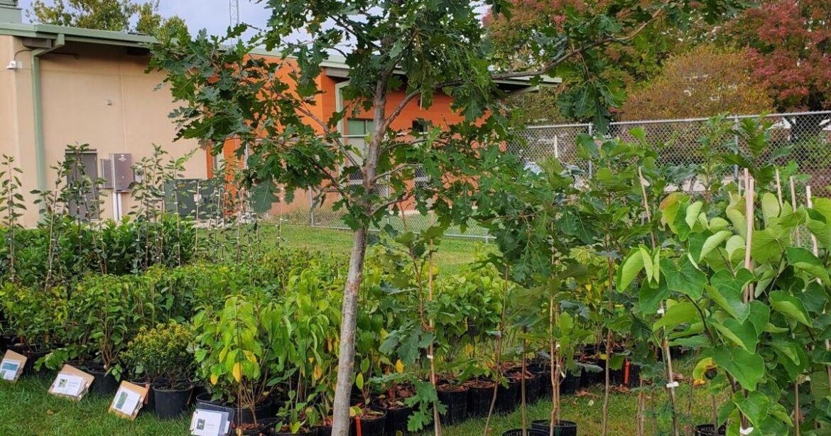 In the Garden | Ideal planting conditions | Gardening In the Garden | Ideal planting conditions | Gardening