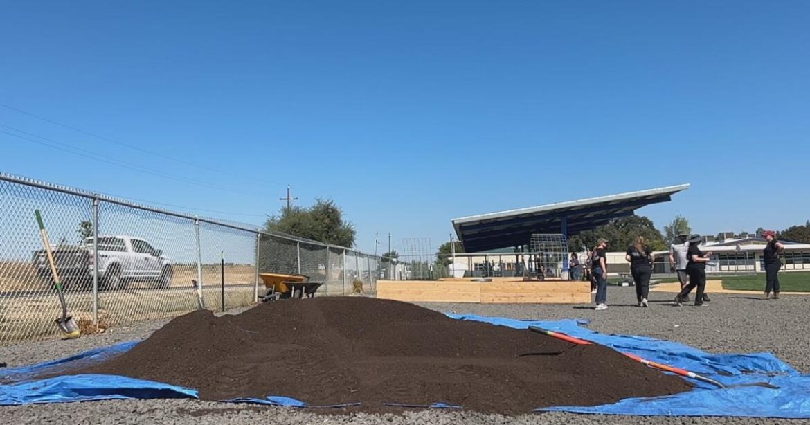 Glenn County nutrition program faces funding cuts, but school garden grows on | News Glenn County nutrition program faces funding cuts, but school garden grows on | News
