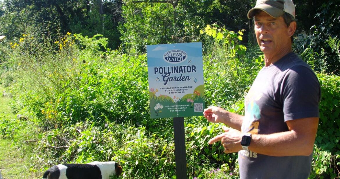 Mount Pleasant’s garden of hope Mount Pleasant's garden of hope