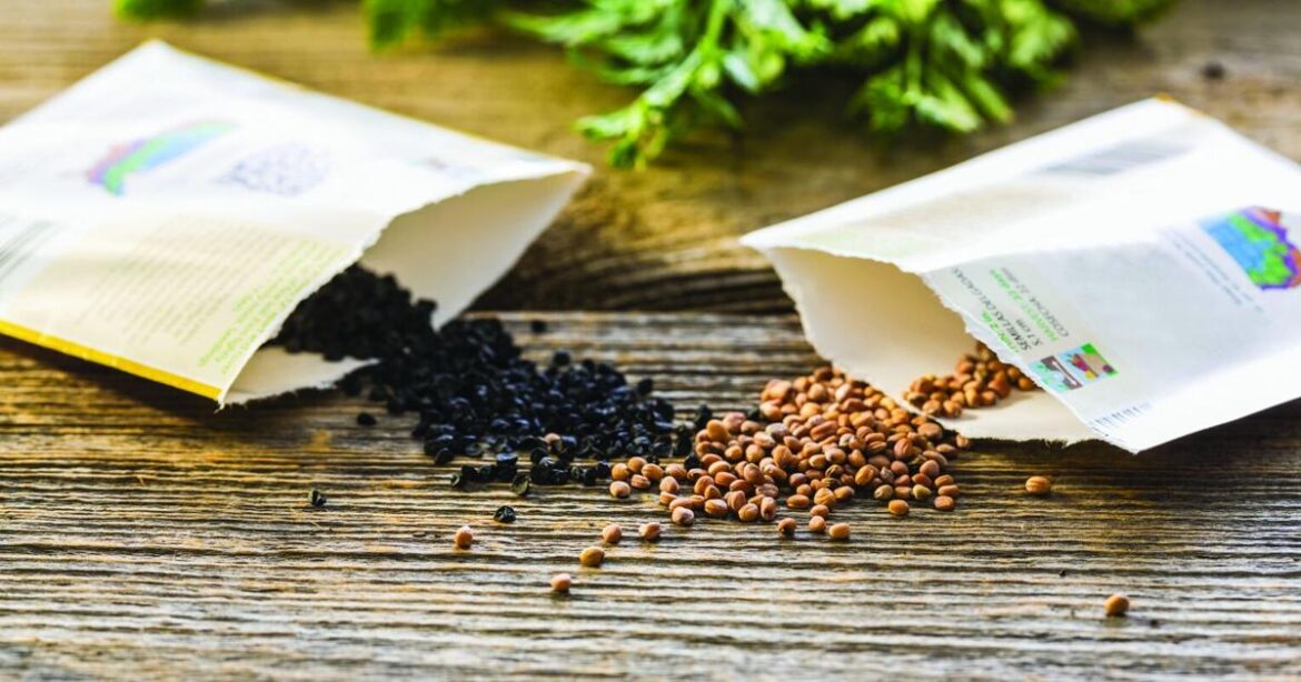 Aiken Master Gardener discusses shade-loving plants Aiken Master Gardener discusses shade-loving plants