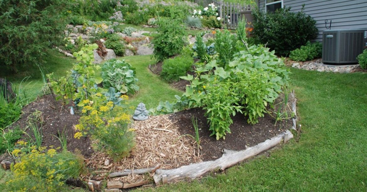 Improve Your Garden Soil with Fall Leaves and Landscape Trimmings | Opinion