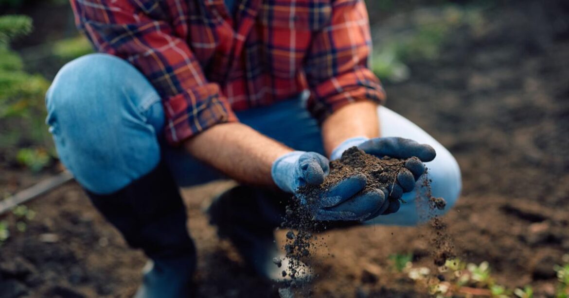 Healthy soil starts now: Autumn tricks for stronger, pest-resistant plants – St. George News Healthy soil starts now: Autumn tricks for stronger, pest-resistant plants - St. George News