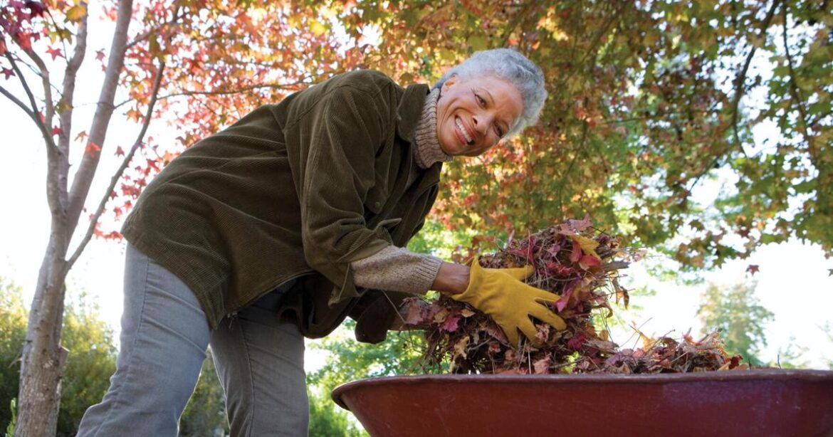 If you think autumn is the end of gardening… | Fresh Air