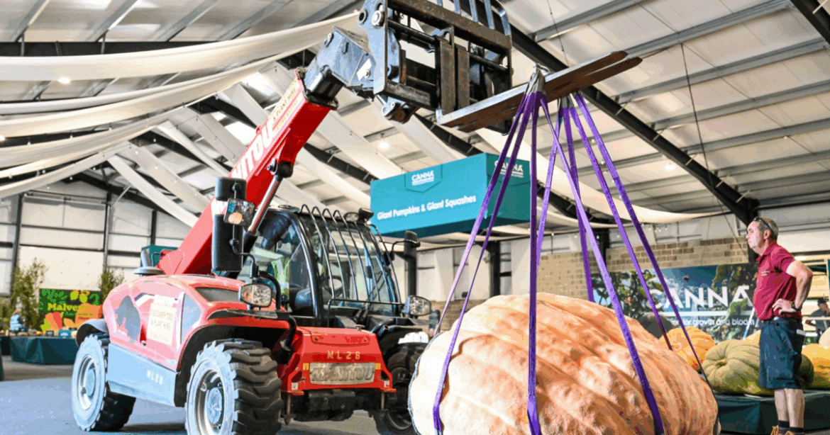 Gardeners unload massive produce ahead of giant vegetable competition | National Gardeners unload massive produce ahead of giant vegetable competition | National