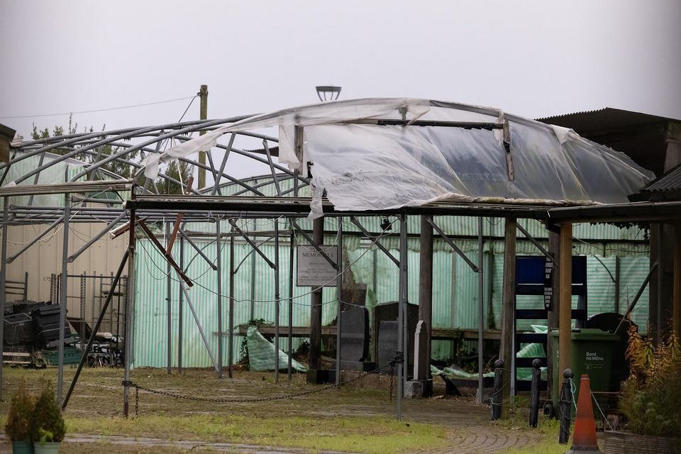 Old Sweeneys garden centre. Photo; Mary Browne