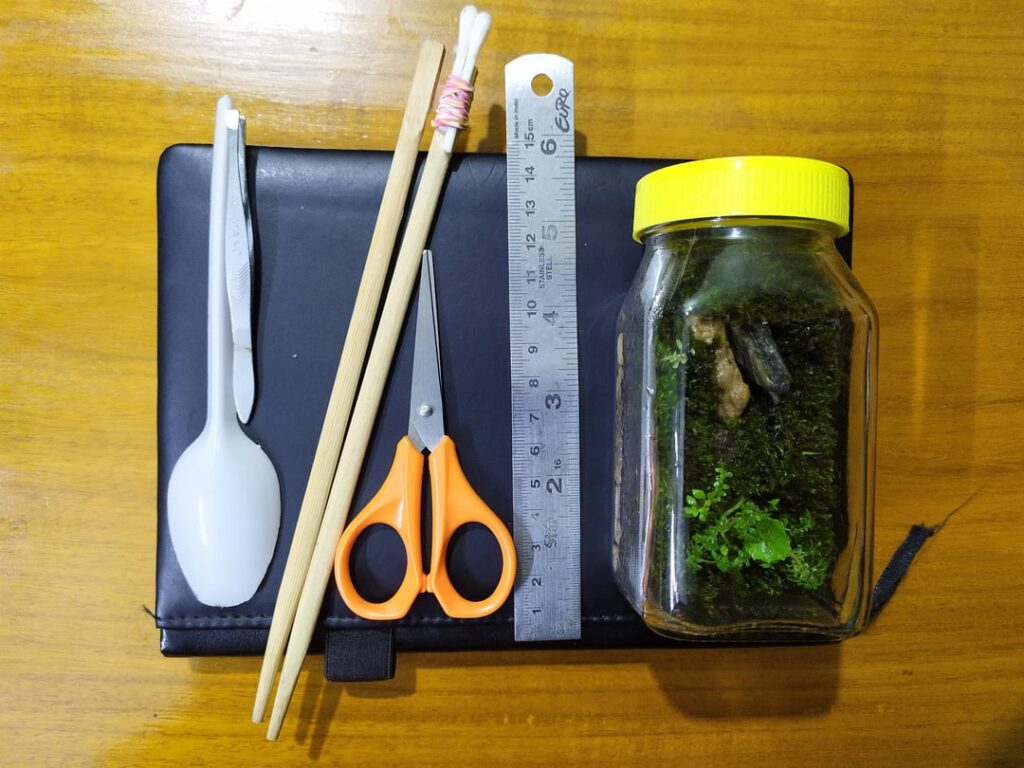 My first terrarium build and spent $0 on it. My first terrarium build and spent $0 on it.