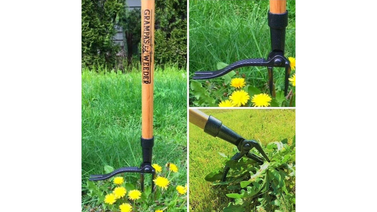 Dig out weeds without ever having to bend over. 