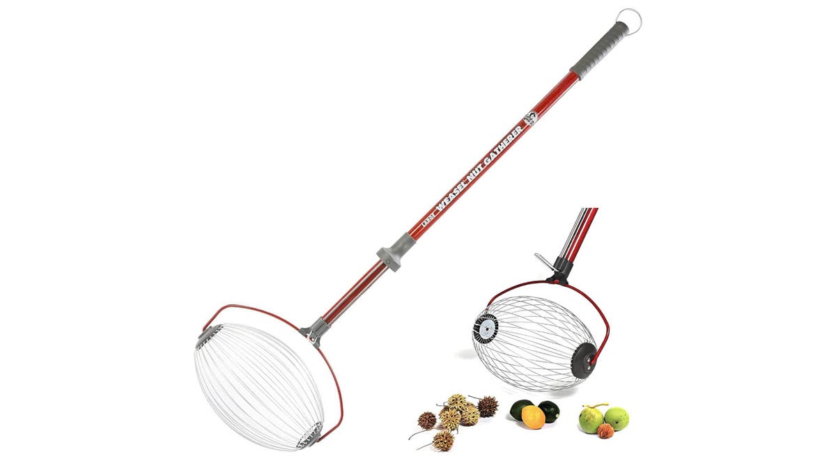Pick up nuts and acorns with this handy tool. 