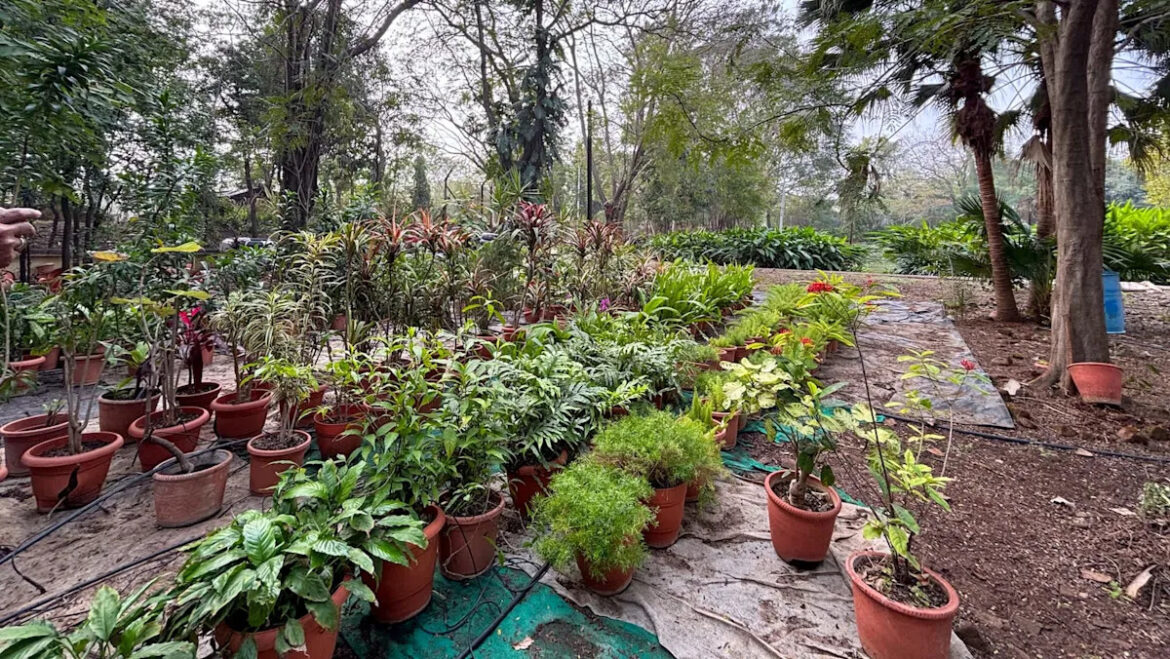 ‘Quickly become out of control’ Yahoo news home