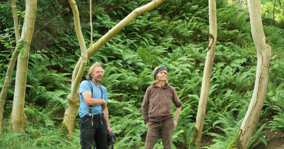 Europe’s most exciting plant nursery is based on the outskirts of Dublin – The Irish Times